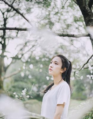 黎明之前电视剧免费观看完整版