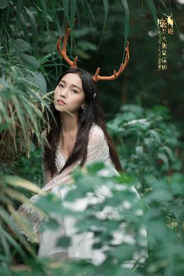 兰香如故电视剧免费观看全集在线播放